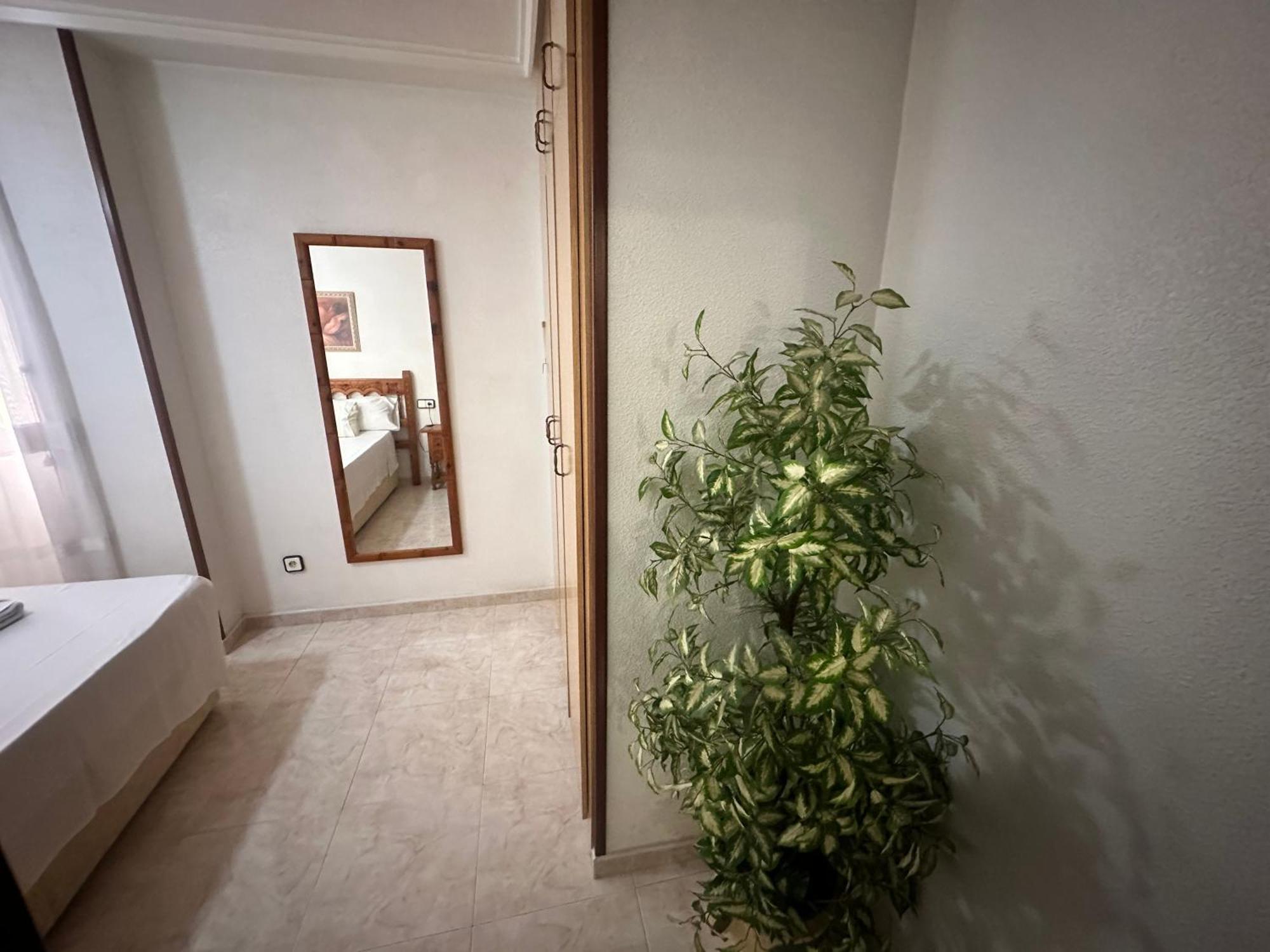 טורבייחה Homely Apartments Habaneras מראה חיצוני תמונה